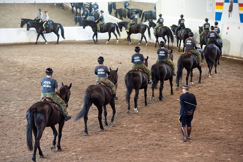 Soldier On program for injured soldiers and veterans, horse program for trauma survivors