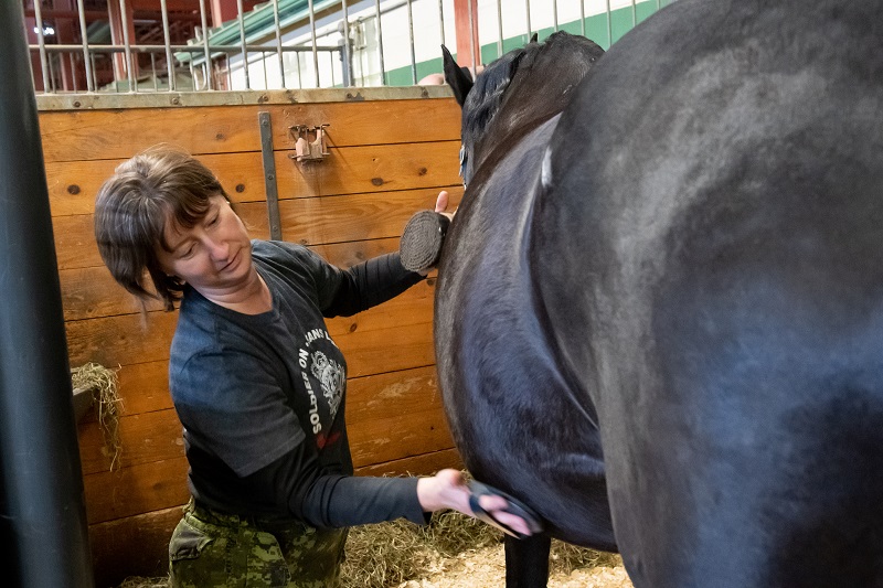 Soldier On program for injured soldiers and veterans, horse program for trauma survivors