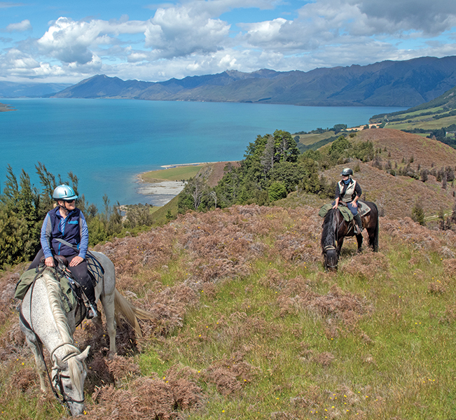 riding vacations, holidays with horses, wild women exhibitions horse rides, new zealand riding vacations, shawn hamilton