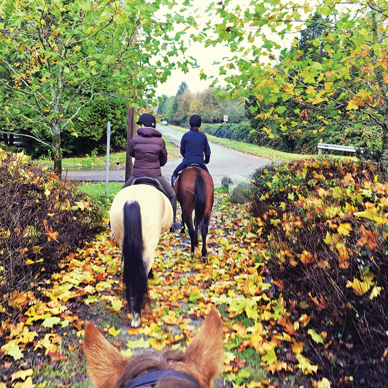 Southlands Riding Club in Vancouver BC, Southlands Riding Club president Whitney Santos, not-for-profit horse riding clubs in BC