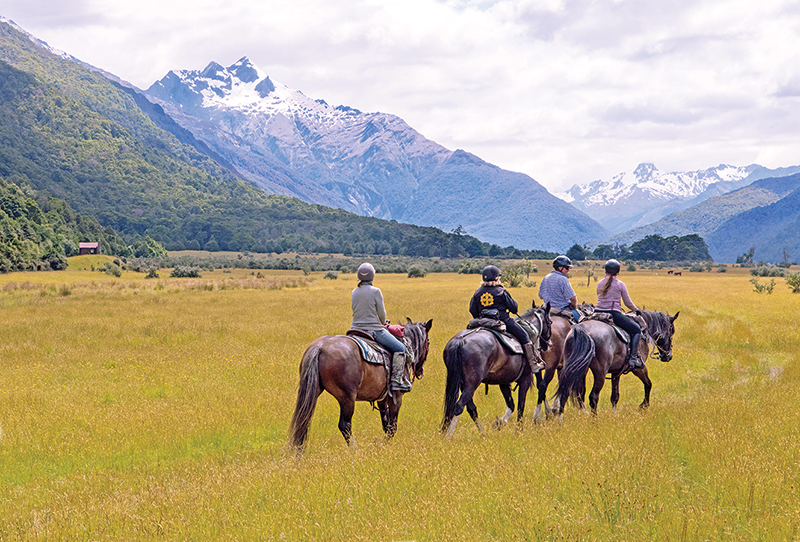 riding vacations, holidays with horses, wild women exhibitions horse rides, new zealand riding vacations, shawn hamilton