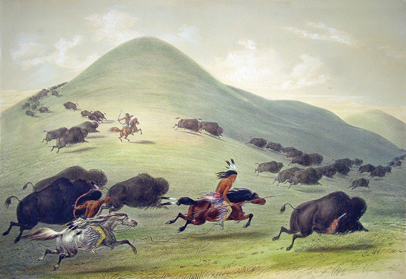 history of horses in canada, canadian horse history, Sir Donald Smith, Edward Mallandaine, canadian equine history