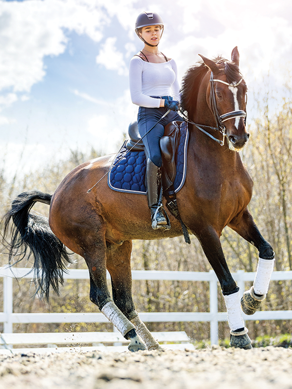 canter pirhouettes, cow horse stops, reining spin, footfalls reining, clix photography, tania millen, shawna sapergia, vern sapergia, cow horse turnaround, how to turn reining horse around, canter turns