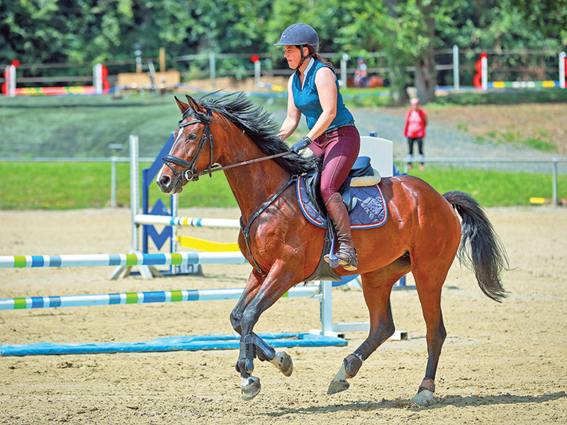 how to enjoy horse riding, setting horse riding goals, equestrian psychology, horse rider psychology, annika mcgivern, succeeding horse rider