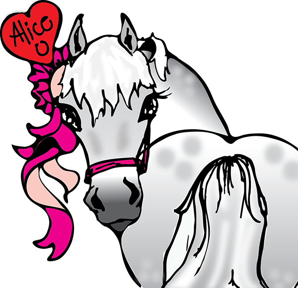 horse council bc news, hcbc memberships, renew hcbc membership, horse council membership renewals, hcbc pony tail kids club