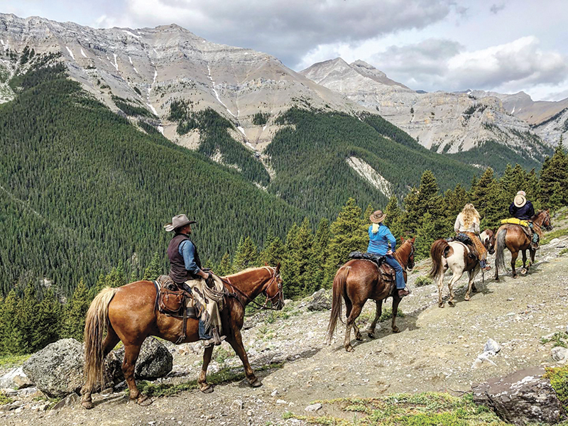 horse riding holidays canada, vacationing with horses, shawn hamilton, anchor d guiding, bar w guest ranch, brewster adventures, flying u ranch, alberta horse riding, ontario holiday riding
