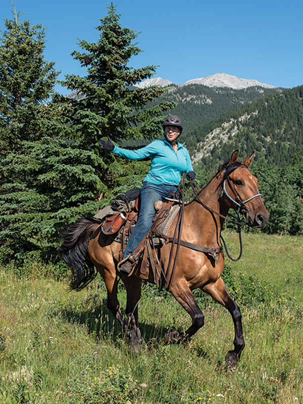 how to photograph horses, horse photography in motion, action photography horses, equine action photography, photography at horse events, photo of horse using phone, take best horse photos, how to take a conformation photo of horse, make horse look good in photo, shawn hamilton