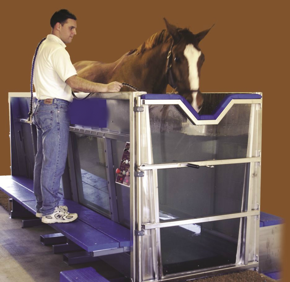 overcoming Equine Lameness, new equine lameness technology, how to rehab lame horse, equine Hyperbaric Oxygen Therapy, Infrared therapy for horses, equine hydrotherapy