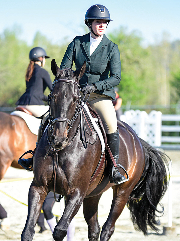 peta claims about horses, should horses be ridden? are horses better off wild? is horse riding unethical?