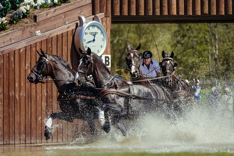  tryon world equestrian games 2018 Para-Dressage web Vaulting world equestrian games Jumping web Driving World Equestrian Games tryon equestrian centre, lauren barwick, sophie wells, Stinna Tange Kaastrup, kristina boe, lambert leclezio, simone blum, steve guerdat, boyd excel, chester weber