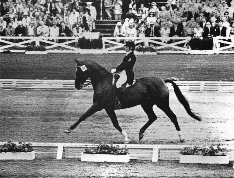Canada’s dressage team Christilot Boylen retirement from international team dressage christilot boylen the Howdy Doody Show