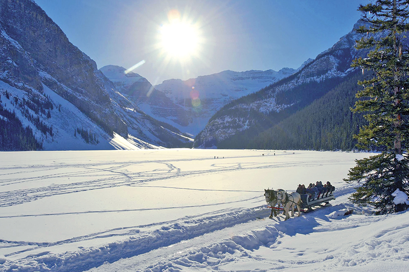 horse riding holidays canada, vacationing with horses, shawn hamilton, anchor d guiding, bar w guest ranch, brewster adventures, flying u ranch, alberta horse riding, ontario holiday riding