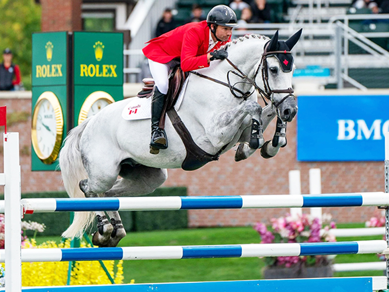tania millen, pony club, how to join canadian pony club, history of pony club, brian morton pony club, karl slezak pony club, alberta north pony club, jill irving youth riding, prentice creek equestrian centre