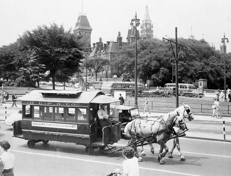 history of horses in canada, canadian horse history, Sir Donald Smith, Edward Mallandaine, canadian equine history