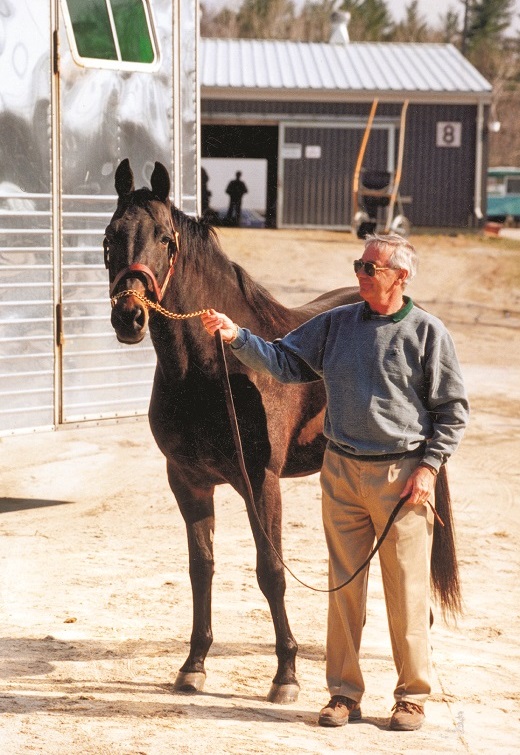 cam fella standardbred racehorse