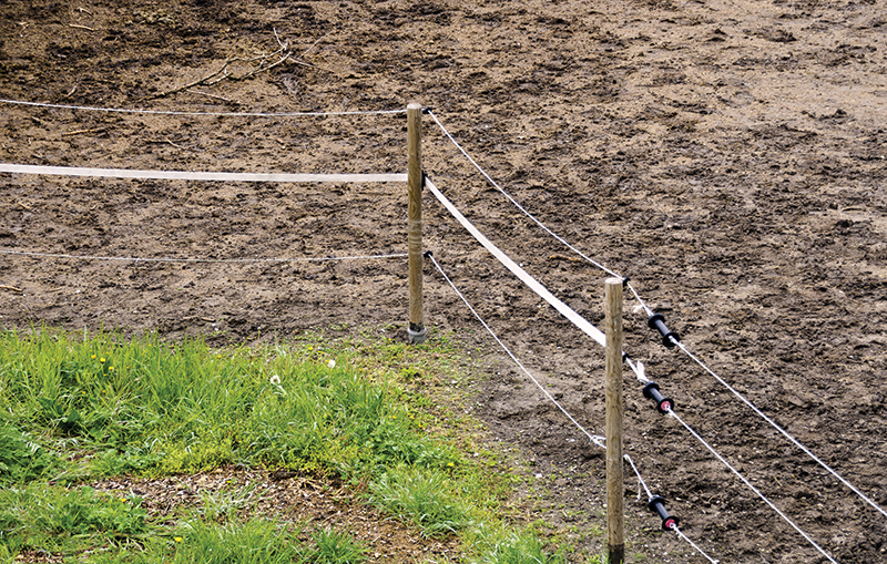 how to deal with horse farm mud, managing muddy horse farm, how to control manure management, managing horse manure 