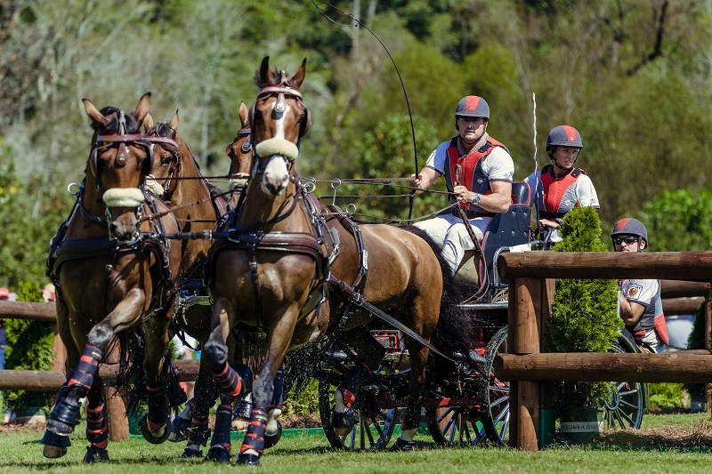  tryon world equestrian games 2018 Para-Dressage web Vaulting world equestrian games Jumping web Driving World Equestrian Games tryon equestrian centre, lauren barwick, sophie wells, Stinna Tange Kaastrup, kristina boe, lambert leclezio, simone blum, steve guerdat, boyd excel, chester weber