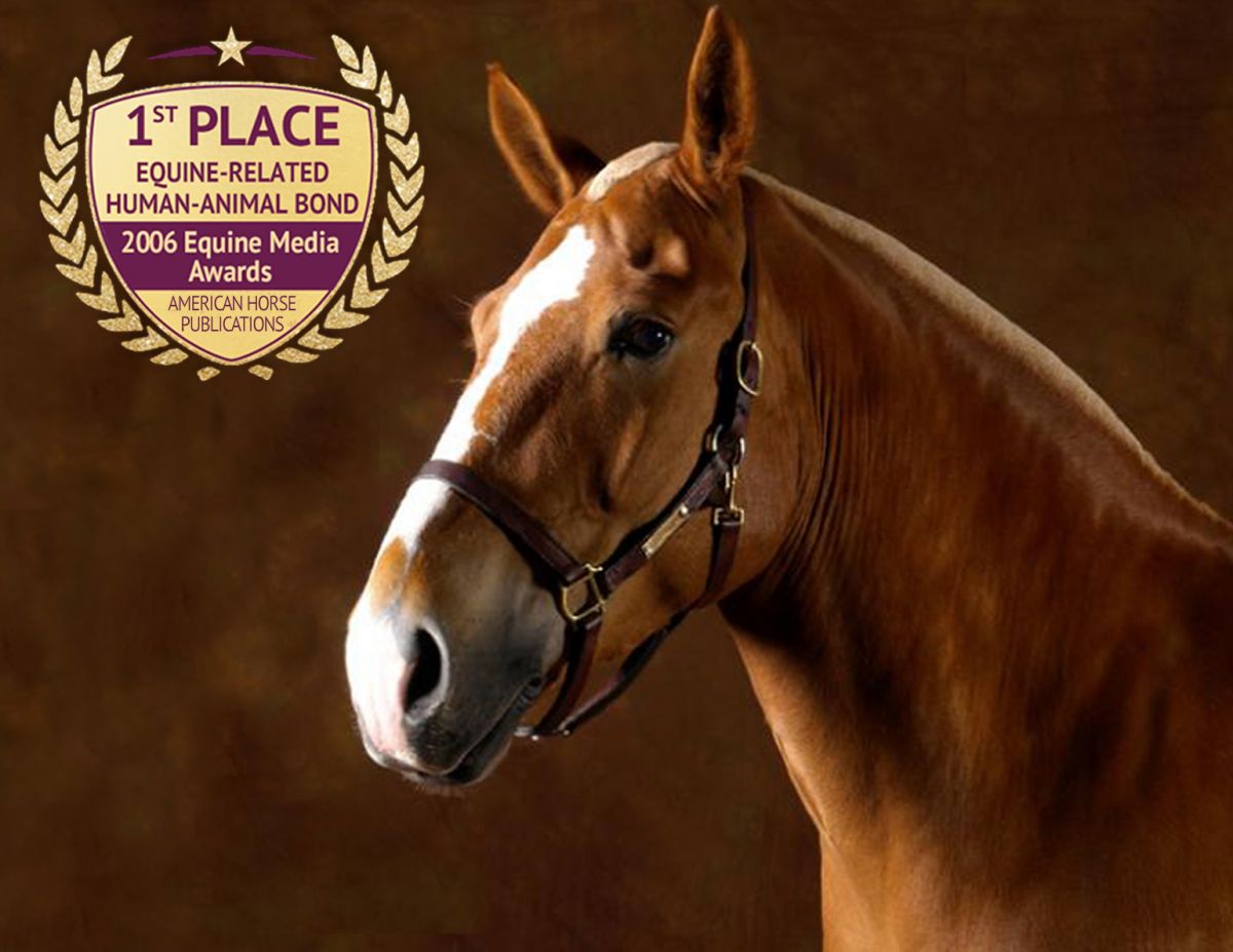 canadian horse journal editorial awards 2019, high quality canadian editorial content, canadian horse editorial, award winning canadian editorial, margaret evans canadian award winning writer