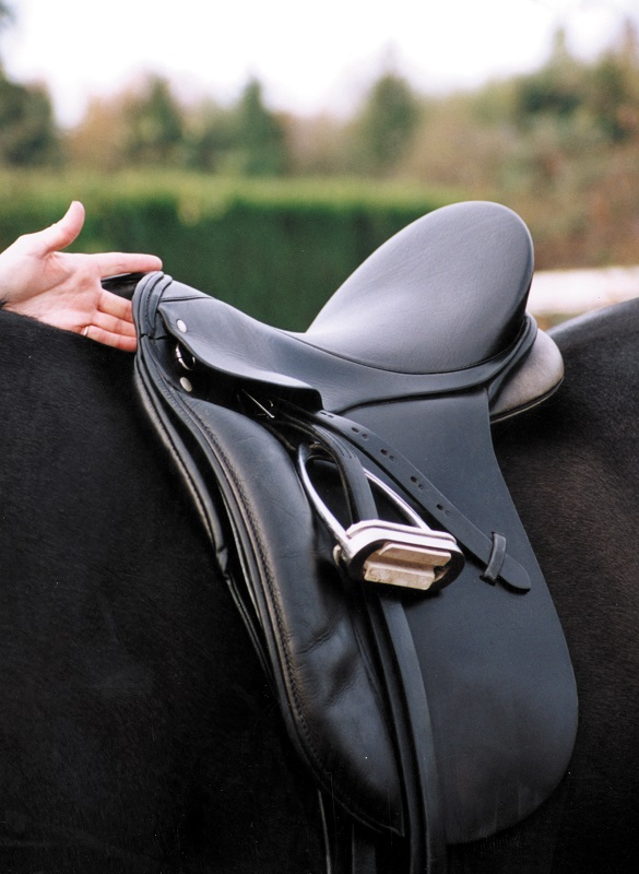 9 Point Saddle Fit, Jochen Schleese, proper horse saddle fitting, Withers Clearance, Gullet width, channel Width, horse saddle tree angle, equine saddle fitting