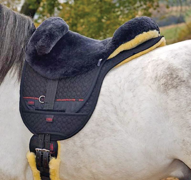 pippa hodge, cantra, canadian therapeutic riding association news, hippotherapy pippa hodge