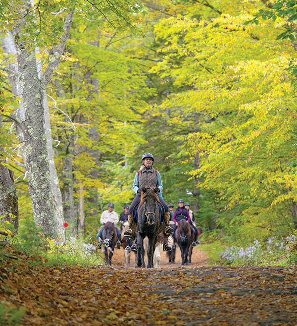 horse riding holidays in vermont, best places horse holiday, horseback riding holidays usa, horse riding in the fall, shawn hamilton, vermont icelandic horse farm