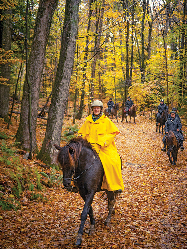 horse riding holidays in vermont, best places horse holiday, horseback riding holidays usa, horse riding in the fall, shawn hamilton, vermont icelandic horse farm