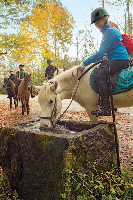 horse riding holidays in vermont, best places horse holiday, horseback riding holidays usa, horse riding in the fall, shawn hamilton, vermont icelandic horse farm