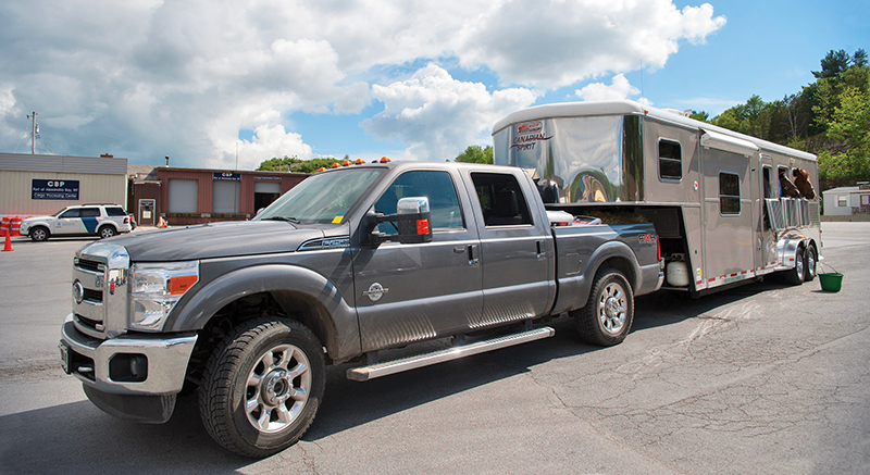 choosing a commercial transporter, how to transport a horse, commercial horse transporters canada, kevan garecki, transport for a special needs horse