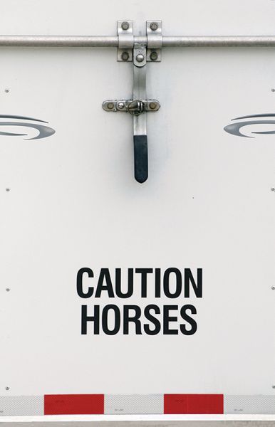 choosing a commercial transporter, how to transport a horse, commercial horse transporters canada, kevan garecki, transport for a special needs horse