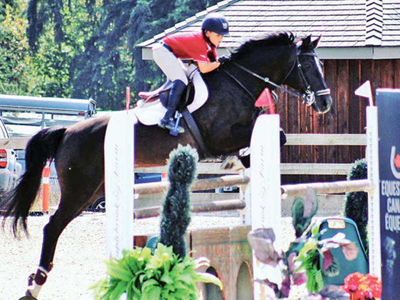 kelly plitz reining, colten powell show jumping, colten powell bronc rider, kelly plitz reining, tina thompson eventing, tina thompson endurance, changing horse discipliens, tania millen
