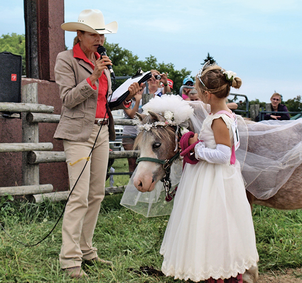 Lindsay Grice horse trainer, how to be a horse show judge, what does a horse judge do? ontario horse show judges canada
