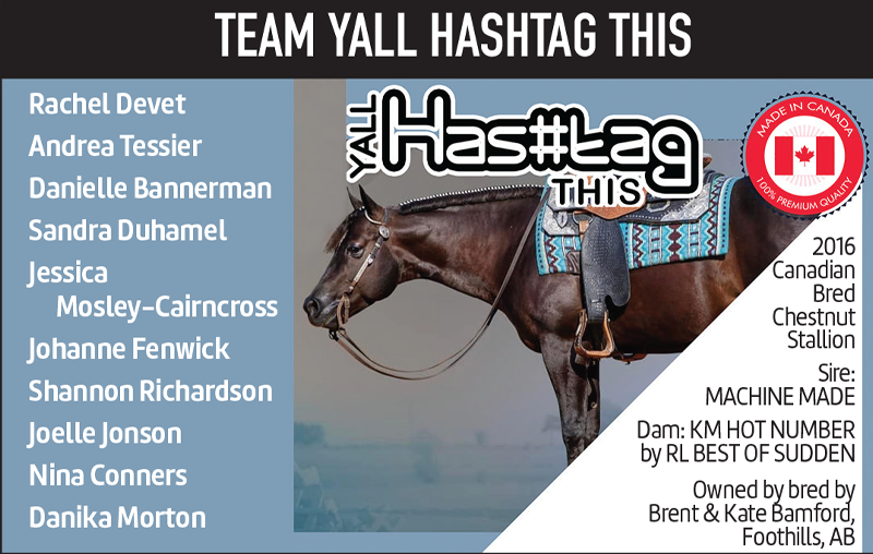 canadian national amateur team tournament, cqha quarter horse tournament, cnatt