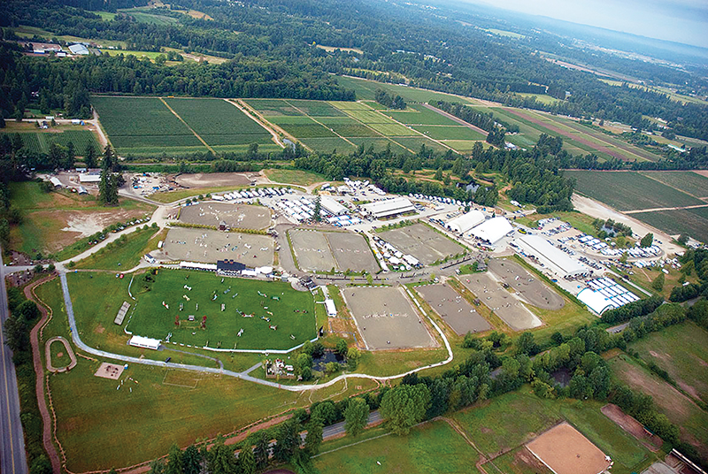 who are some of canada's horse industry builders? John Scott, Cara Whitham, Jack Pemberton, Alfred Fletcher, Guy Weadick, Dr. Sherman Olson, Dr. Gillian Lawrence, David Esworthy, Gayle Ecker, Bill Collins, Peter Cameron, Faith Berghuis, Ian Miller, ron southern, Marg Southern