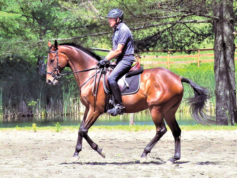 diquita cardinal cardinal ranch, denny emerson tamarack hill farm vermont, how to understand your horse, how to be a horse person, best horse trainers