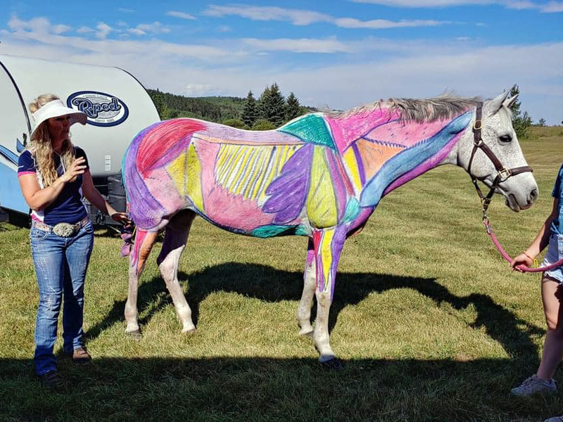 tania millen, pony club, how to join canadian pony club, history of pony club, brian morton pony club, karl slezak pony club, alberta north pony club, jill irving youth riding, prentice creek equestrian centre