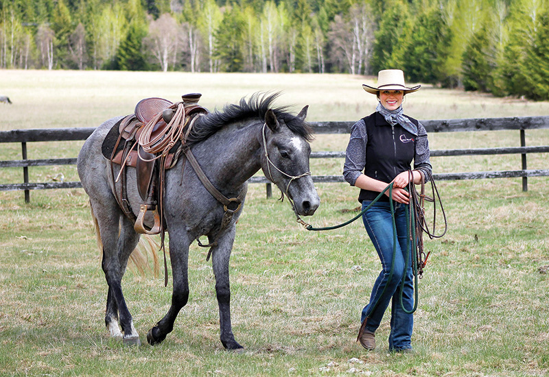 diquita cardinal cardinal ranch, denny emerson tamarack hill farm vermont, how to understand your horse, how to be a horse person, best horse trainers