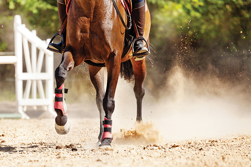 proper riding arena footing, ideal riding arena surfaces, White Paper Equestrian Surfaces, equestrian surfaces, riding arena irrigation systems, riding arena crystalline silica dust