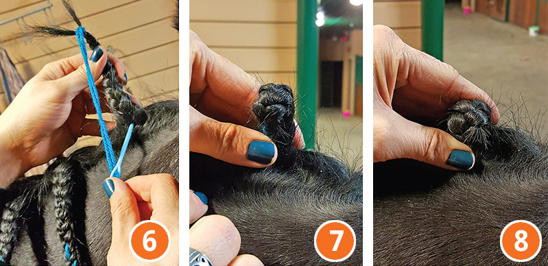 how to braid horse for hunter, how to braid horse for jumper, how to braid horse for dressage
