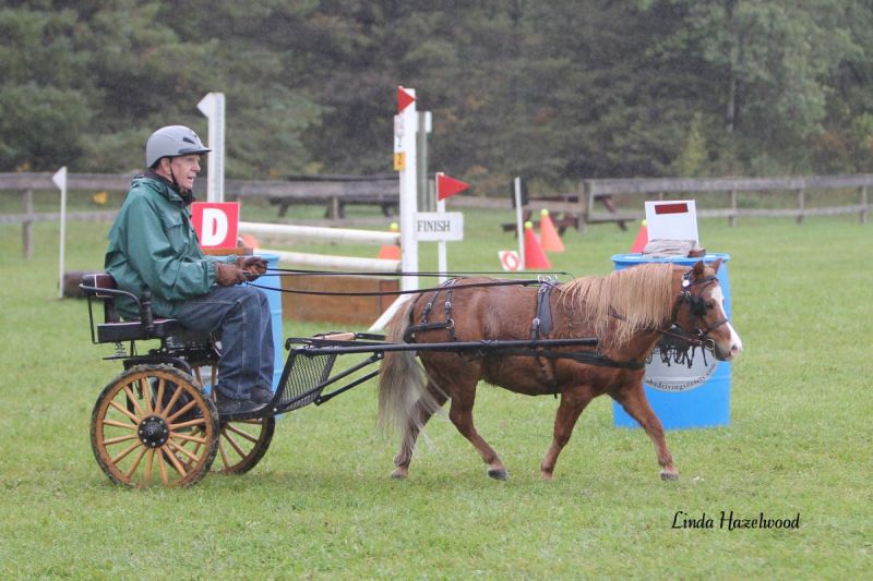manitoba horse council Multi-Discipline Team Challenge, Manitoba Equestrian Championships, Birds Hill Park, sport manitoba respect in sport program horse equine canada