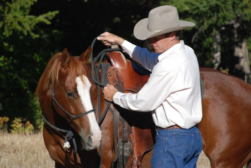 Jonathan Field pushy horse, how do i control my horse, how do i stop bad horse behaviour, horse to behave, hold and wait horse, horse yield