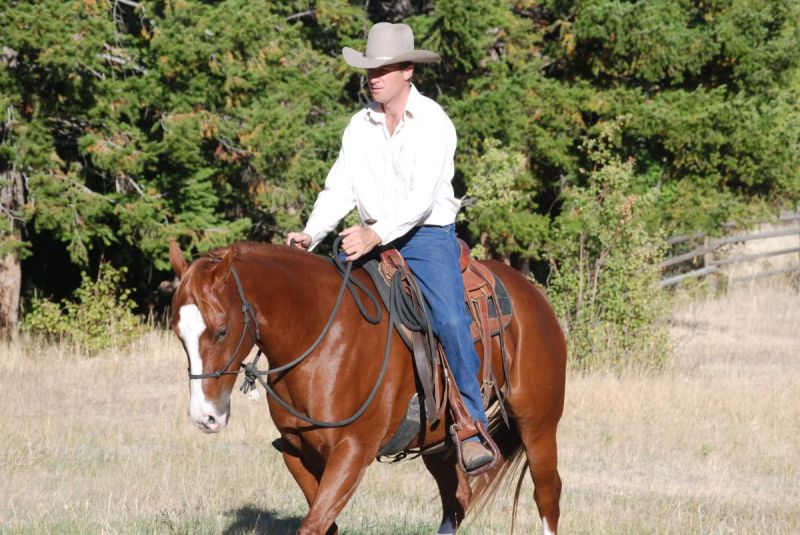 Jonathan Field pushy horse, how do i control my horse, how do i stop bad horse behaviour, horse to behave, hold and wait horse, horse yield