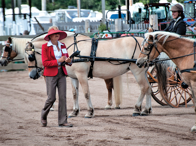 Lindsay Grice horse trainer, how to be a horse show judge, what does a horse judge do? ontario horse show judges canada