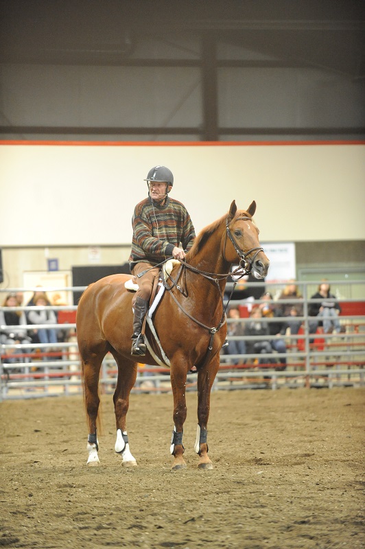 lawsuit united states equestrian federation, lawsuit george morris, lawsuit usef and flintridge, george morris sexual assault