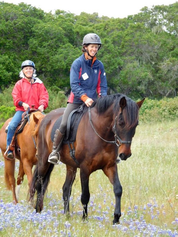 spring conditioning horse, spring horse exercises, prepping your horse for show, exercising horse, jec ballou, equine groundwork, horse, dressage horse exercises, jumper horse exercises, western horse exercises, hunter horse exercises