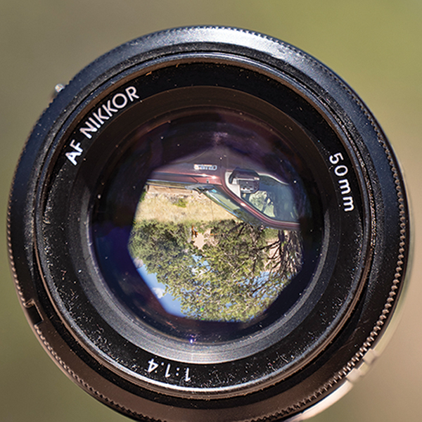 50mm lens at f/2, how to photograph horses, horse photography in motion, action photography horses, equine action photography, photography at horse events, photo of horse using phone, take best horse photos, how to take a conformation photo of horse, make horse look good in photo, shawn hamilton