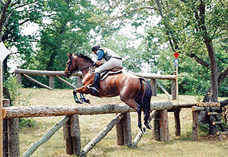diquita cardinal cardinal ranch, denny emerson tamarack hill farm vermont, how to understand your horse, how to be a horse person, best horse trainers