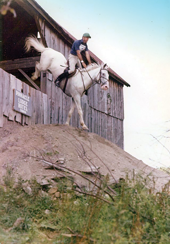 diquita cardinal cardinal ranch, denny emerson tamarack hill farm vermont, how to understand your horse, how to be a horse person, best horse trainers