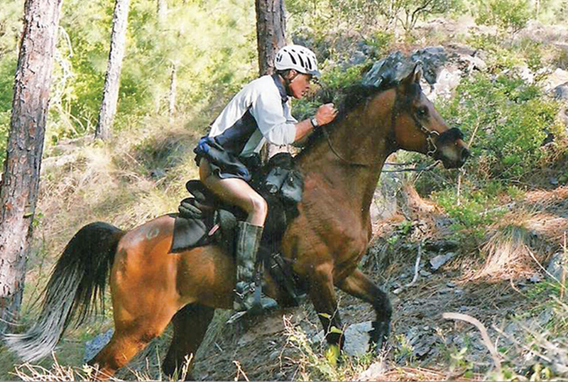 diquita cardinal cardinal ranch, denny emerson tamarack hill farm vermont, how to understand your horse, how to be a horse person, best horse trainers