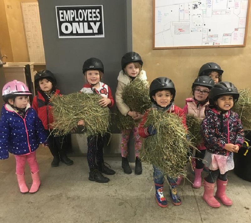 whitemud equine centre, welca, therapeutic riding