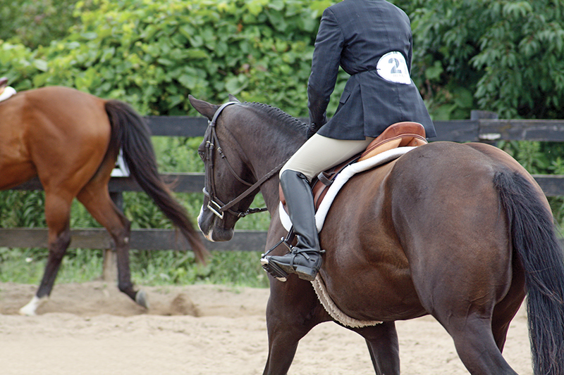 lindsay grice, preparing for a horse competition, psychology of riding horses, helping an anxious horse, horse refuses, horse won't cooperate